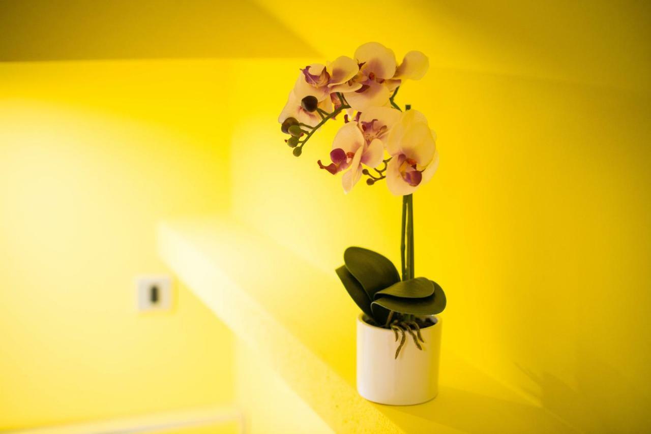 Apartment Jacobs เบลด ภายนอก รูปภาพ
